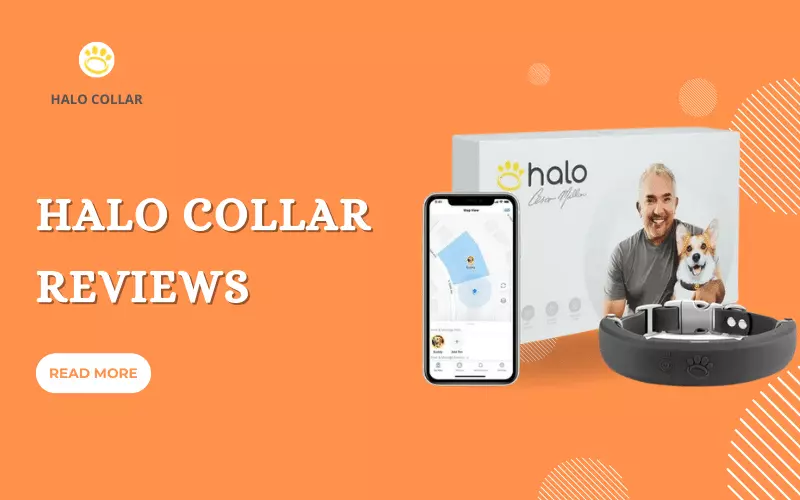 Halo Collar Reviews