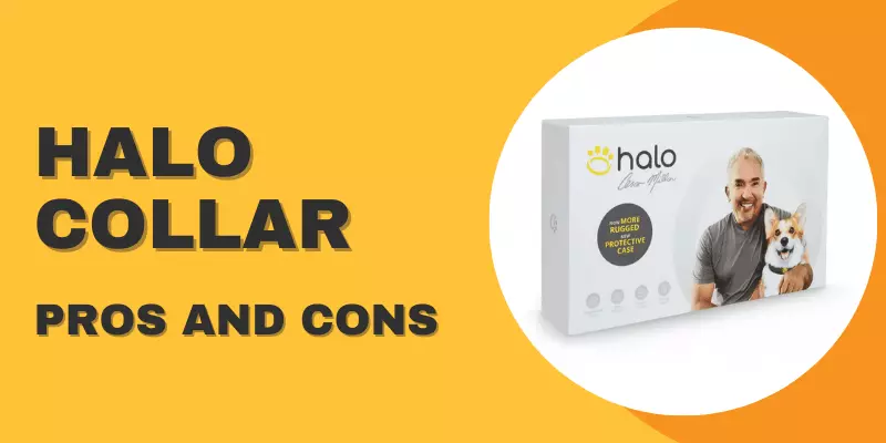 Pros and Cons of Halo Collar